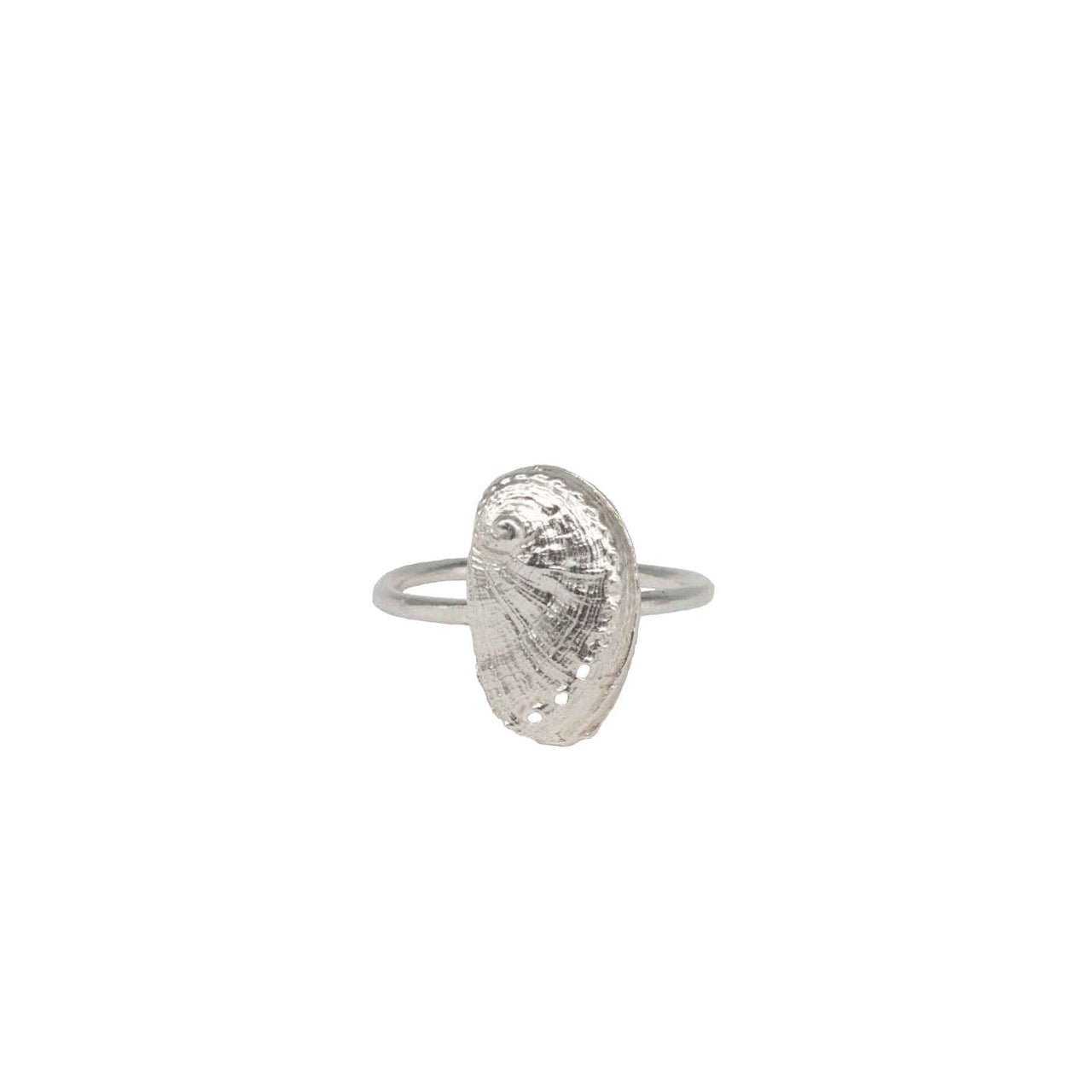 ring haliotis