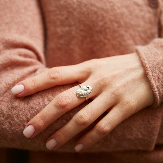 ring haliotis