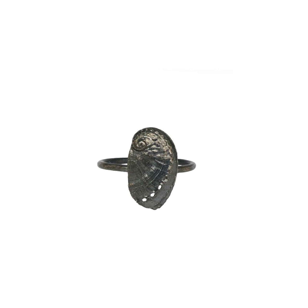 ring haliotis