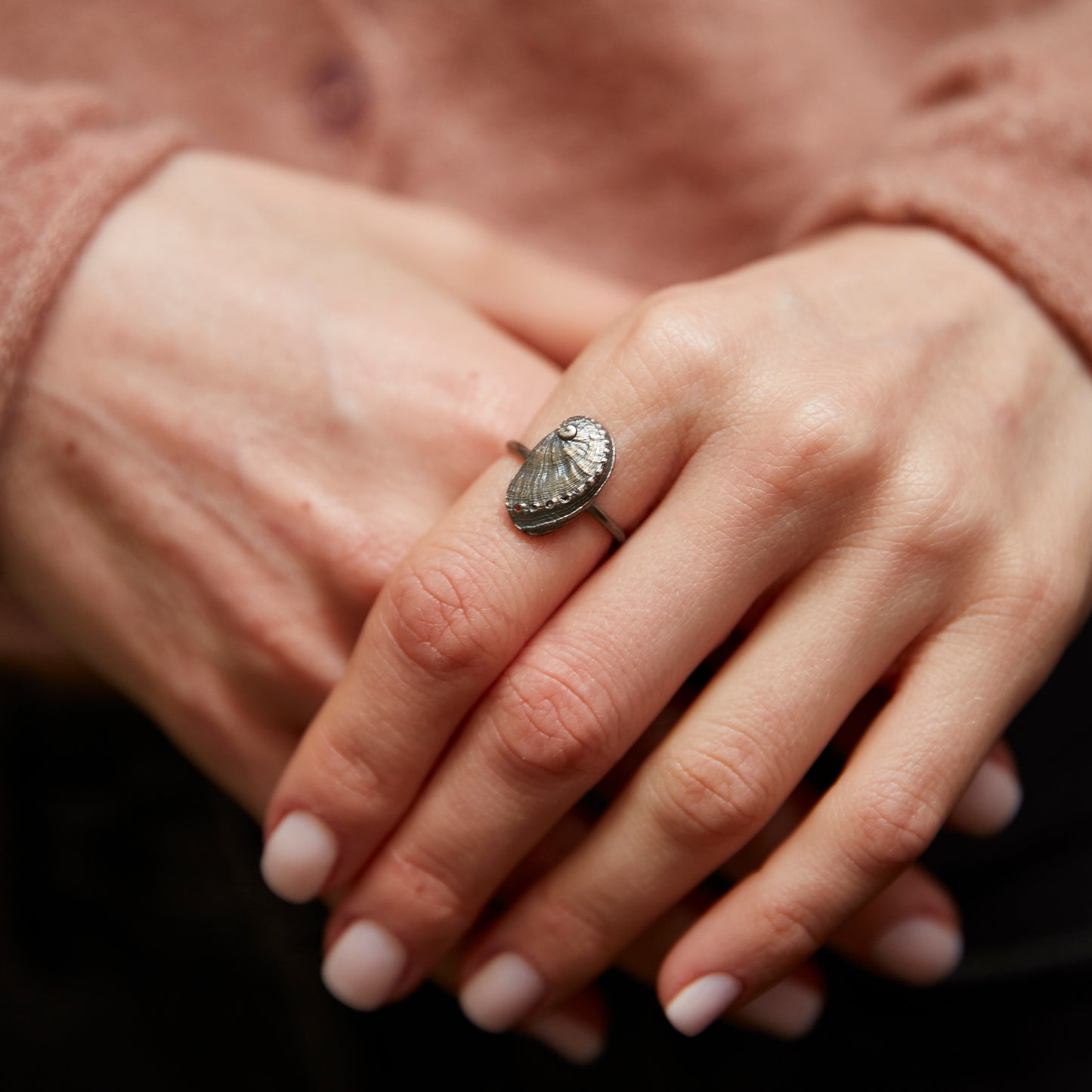 ring haliotis
