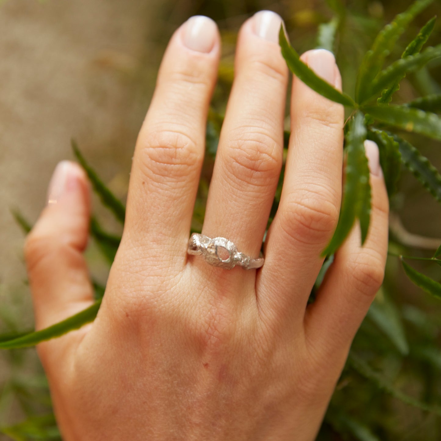 ring thoracica collection