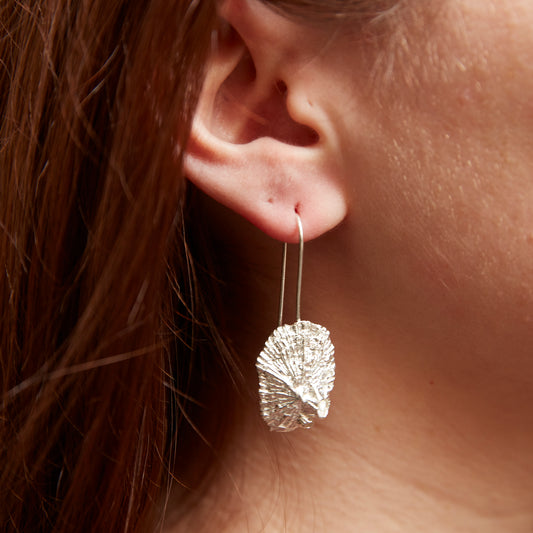 earrings patella x thoracica