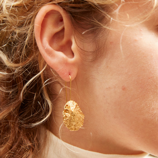 earrings patella x thoracica