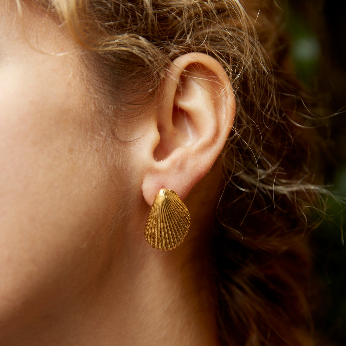earrings limidae I