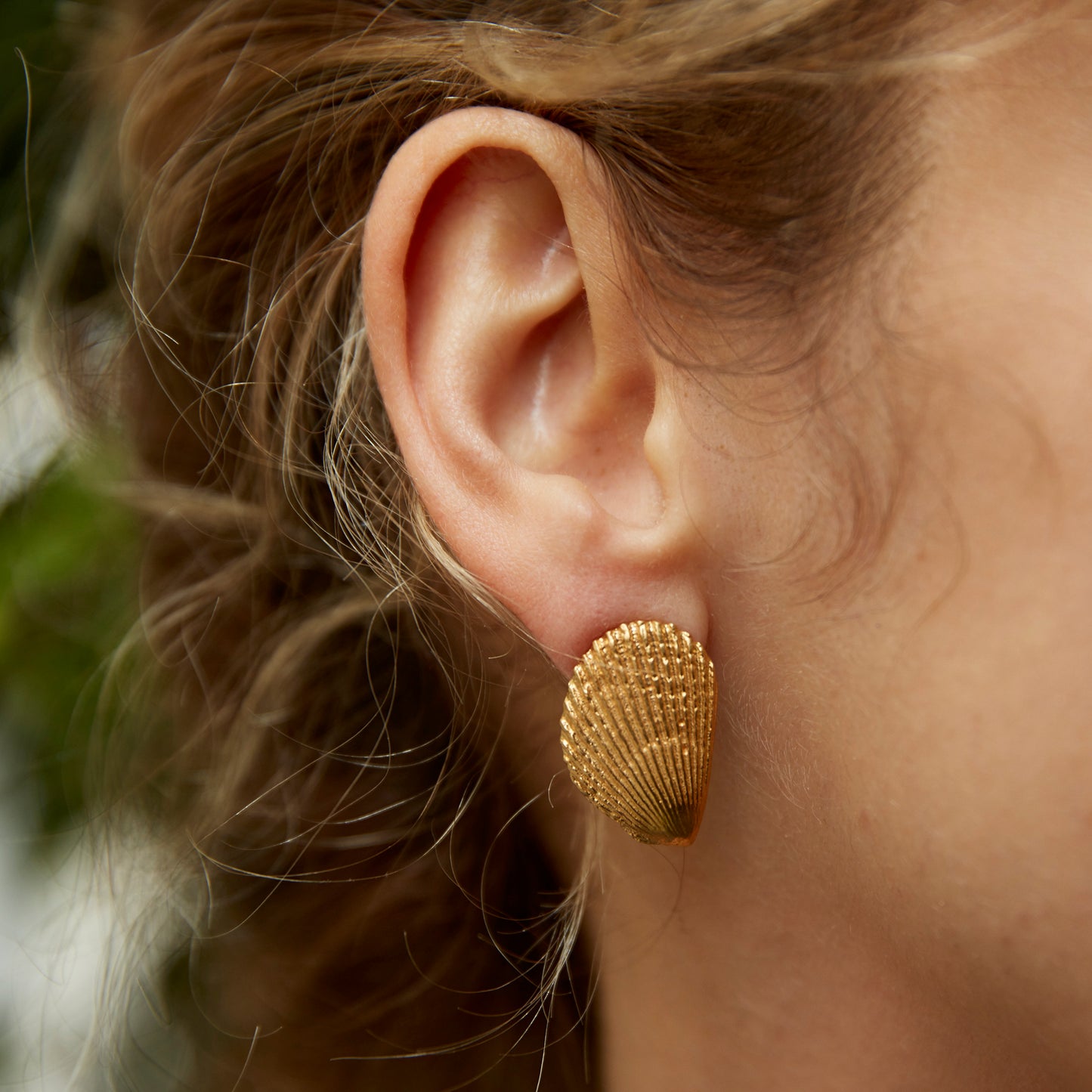 earrings limidae I