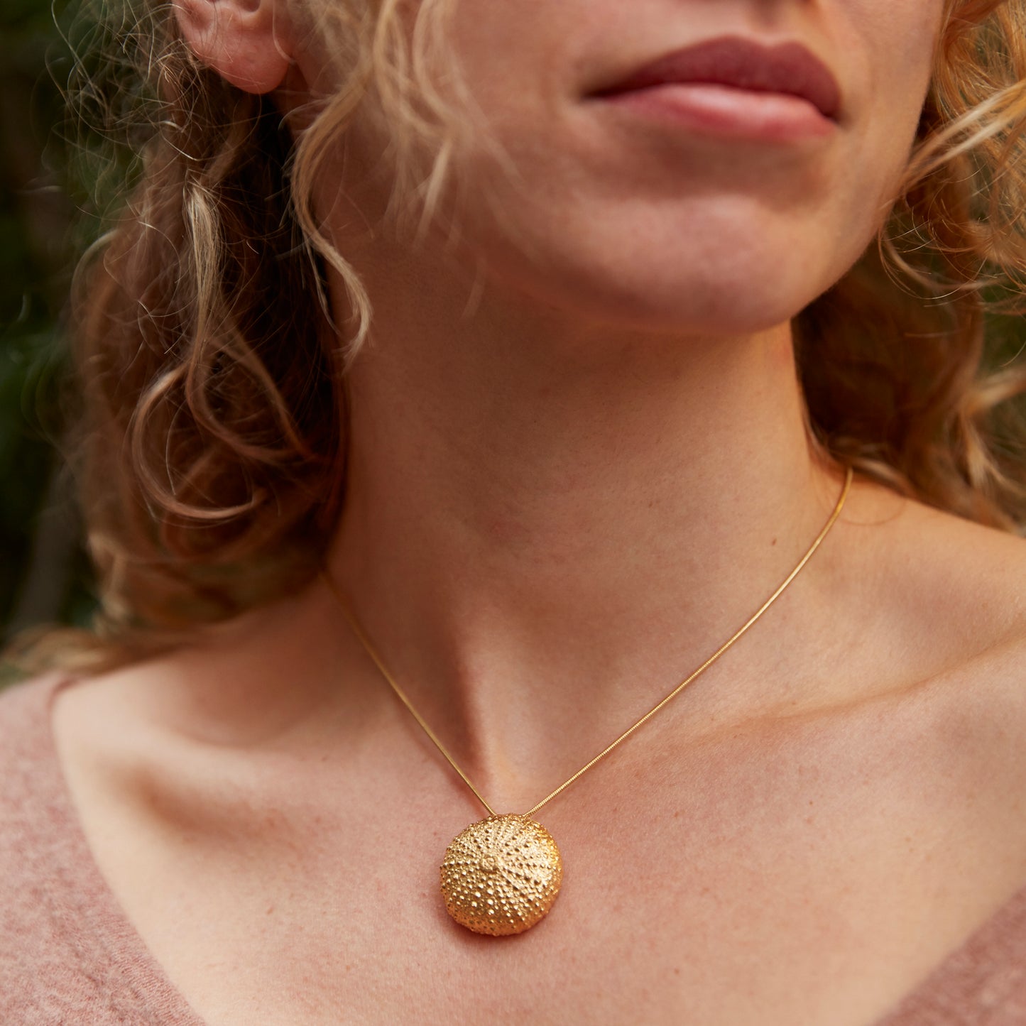 necklace sea urchin