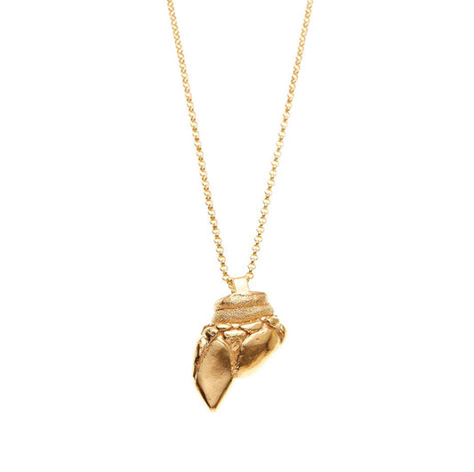 necklace pollicipes