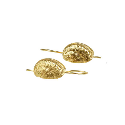 earrings macro haliotis